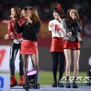 신성헤어라인 이미지