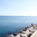 감포어시장 이미지