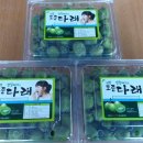 치악산 토종다래 영농조합법인