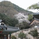 지리산호수공원 Daum카페