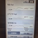 자산삼거리로 | 신대방삼거리역PT, 운동 무경험 20대 남성의 한 달 변화 — 체지방률 -5.3%p, 골격근량 +2.8kg
