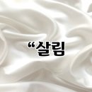 청년홈케어연구소 | “살림, 아직도 혼자 하니?” 요즘 뜨는 맞춤 서비스