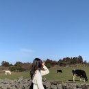 소뭇