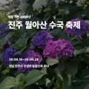 르네공예 | 미리 가본 월아산 수국수국축제 (축제 일정 : 26년 6월 18일~28일)