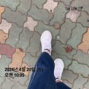 부산광역시 해운대구 우동 &amp; 재송동 임장 후기 (+임장 루트 공유)