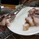 제주도야지 이미지