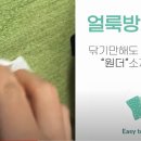 씨에스타 이미지