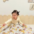 엘림카시트 이미지