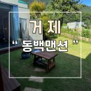 동백펜션 | 거제 감성 숙소 동백맨션 펜션 후기