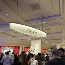 라스베가스 | 라스베가스 오쇼 후기 예약 방법 및 가격 좌석 추천