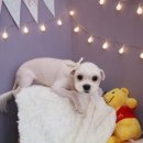 그루밍샵 0105 이미지