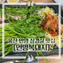 울산 언양 미나리 삽겹살 맛집 [언양복돼지] - 주차, 메뉴, 가격 등 상세 후기
