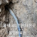 불암체육관 이미지
