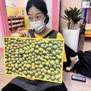초록놀이터 네이버블로그