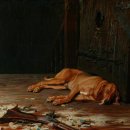 리비에르(Riviere) 이미지