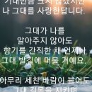 들꽃사랑 이미지