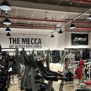 :O GYM 이미지