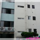 금성신평