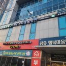 다독다독동물병원