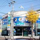 경주국가대표태권도장 이미지