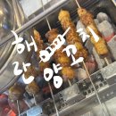 칭따오양꼬치 | 건대입구역맛집 해란양꼬치 칭따오랑 함께 먹는 양꼬치 솔직후기