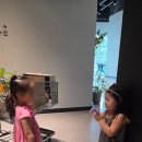 쎄쎄쎄아트