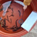 사우어린이집 | [공지] 김포) 치유농장 뒤란-체험농장, 아이랑 가볼만한곳, (내돈내산후기/자연체험/힐링코스/찐추천)