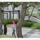 추모공원휴 이미지