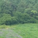 양덕원주유소 이미지