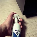 빈대 퇴치방법 이것만 알았어도 그런 고생은 안 했을 텐데