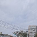 통영시보건소 | 통영보건소 모바일헬스케어를 마치면서