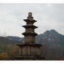 하늘재공원 Daum카페