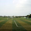 을숙도 인조잔디 축구장 이미지