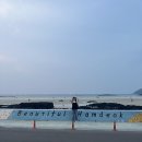 별포차 | 함덕 술집 추천 안주맛있고 분위기 좋은 함덕 우리들의별포차 후기