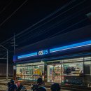 GS25약목복성점 네이버블로그
