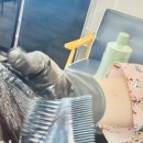 블랑헤어매천점