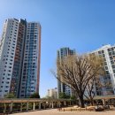 서초대로58길 26 이미지