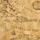 카리브 이미지