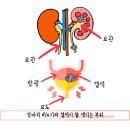 로지동물의료센터 이미지
