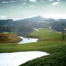 타니스테이 이미지