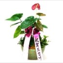 덕성떡방앗간 이미지