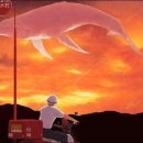 토모Tomo 이미지