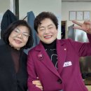 해솔 이미지