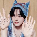 Nct wish 버블 배경화면 추천 [엔시티 위시 배경화면/ 시온 리쿠 유우시 재희 료 사쿠야 사진]