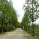 인천대공원(자전거광장) 이미지