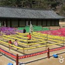 대장경테마파크 이미지
