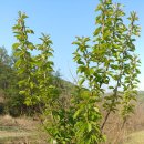 백곡농장 이미지