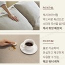 상무쇼파 이미지
