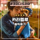 영화사랑 | 카라멜루 : 사랑스러운 넷플릭스 강아지 힐링 영화 솔직후기