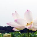 내동마을 입구 이미지